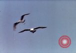Image of Advertisement for smooth ride of 1939 Ford automobiles United States USA, 1939, second 10 stock footage video 65675051551