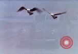 Image of Advertisement for smooth ride of 1939 Ford automobiles United States USA, 1939, second 12 stock footage video 65675051551
