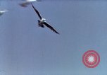 Image of Advertisement for smooth ride of 1939 Ford automobiles United States USA, 1939, second 21 stock footage video 65675051551