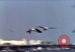 Image of Advertisement for smooth ride of 1939 Ford automobiles United States USA, 1939, second 23 stock footage video 65675051551