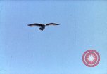 Image of Advertisement for smooth ride of 1939 Ford automobiles United States USA, 1939, second 28 stock footage video 65675051551