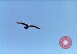 Image of Advertisement for smooth ride of 1939 Ford automobiles United States USA, 1939, second 29 stock footage video 65675051551