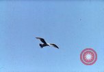 Image of Advertisement for smooth ride of 1939 Ford automobiles United States USA, 1939, second 30 stock footage video 65675051551