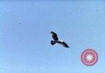 Image of Advertisement for smooth ride of 1939 Ford automobiles United States USA, 1939, second 31 stock footage video 65675051551