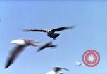 Image of Advertisement for smooth ride of 1939 Ford automobiles United States USA, 1939, second 34 stock footage video 65675051551
