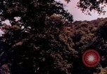 Image of People visiting a forest in their 1939 Ford car United States USA, 1939, second 6 stock footage video 65675051552
