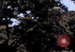 Image of People visiting a forest in their 1939 Ford car United States USA, 1939, second 7 stock footage video 65675051552