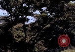 Image of People visiting a forest in their 1939 Ford car United States USA, 1939, second 8 stock footage video 65675051552