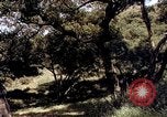 Image of People visiting a forest in their 1939 Ford car United States USA, 1939, second 12 stock footage video 65675051552