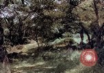 Image of People visiting a forest in their 1939 Ford car United States USA, 1939, second 13 stock footage video 65675051552