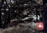 Image of People visiting a forest in their 1939 Ford car United States USA, 1939, second 14 stock footage video 65675051552