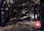 Image of People visiting a forest in their 1939 Ford car United States USA, 1939, second 15 stock footage video 65675051552