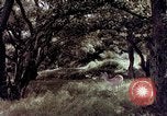 Image of People visiting a forest in their 1939 Ford car United States USA, 1939, second 20 stock footage video 65675051552