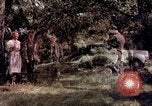 Image of People visiting a forest in their 1939 Ford car United States USA, 1939, second 21 stock footage video 65675051552