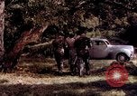 Image of People visiting a forest in their 1939 Ford car United States USA, 1939, second 29 stock footage video 65675051552