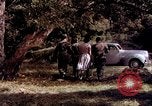 Image of People visiting a forest in their 1939 Ford car United States USA, 1939, second 30 stock footage video 65675051552