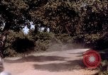 Image of People visiting a forest in their 1939 Ford car United States USA, 1939, second 57 stock footage video 65675051552