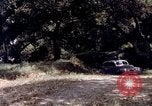 Image of People visiting a forest in their 1939 Ford car United States USA, 1939, second 58 stock footage video 65675051552