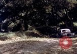 Image of People visiting a forest in their 1939 Ford car United States USA, 1939, second 59 stock footage video 65675051552
