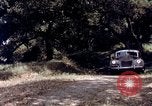 Image of People visiting a forest in their 1939 Ford car United States USA, 1939, second 60 stock footage video 65675051552