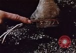 Image of Battle of Iwo Jima Iwo Jima, 1945, second 48 stock footage video 65675051572