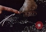 Image of Battle of Iwo Jima Iwo Jima, 1945, second 49 stock footage video 65675051572