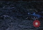 Image of famous American flag raising Mount Suribachi Iwo Jima, 1945, second 6 stock footage video 65675051573