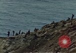 Image of Battle of Iwo Jima Iwo Jima, 1945, second 7 stock footage video 65675051574