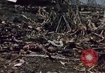 Image of Battle of Iwo Jima Iwo Jima, 1945, second 37 stock footage video 65675051574