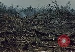 Image of Battle of Iwo Jima Iwo Jima, 1945, second 39 stock footage video 65675051574