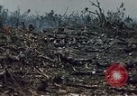 Image of Battle of Iwo Jima Iwo Jima, 1945, second 41 stock footage video 65675051574