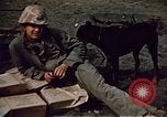 Image of Battle of Iwo Jima Iwo Jima, 1945, second 43 stock footage video 65675051574