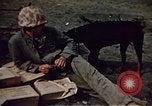 Image of Battle of Iwo Jima Iwo Jima, 1945, second 44 stock footage video 65675051574