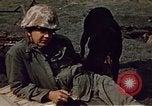 Image of Battle of Iwo Jima Iwo Jima, 1945, second 45 stock footage video 65675051574