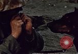 Image of Battle of Iwo Jima Iwo Jima, 1945, second 49 stock footage video 65675051574