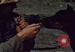 Image of Battle of Iwo Jima Iwo Jima, 1945, second 51 stock footage video 65675051574