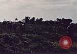 Image of Battle of Iwo Jima Japan, 1945, second 9 stock footage video 65675051575