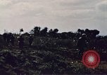 Image of Battle of Iwo Jima Japan, 1945, second 13 stock footage video 65675051575