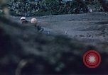 Image of Battle of Iwo Jima Japan, 1945, second 49 stock footage video 65675051575