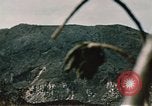 Standbild Schlacht von Iwo Jima Iwo Jima, 1945, aus Sekunde 34 historischem Filmmaterial Videoclip 65675051576