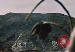 Standbild Schlacht von Iwo Jima Iwo Jima, 1945, aus Sekunde 36 historischem Filmmaterial Videoclip 65675051576