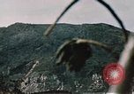 Standbild Schlacht von Iwo Jima Iwo Jima, 1945, aus Sekunde 37 historischem Filmmaterial Videoclip 65675051576
