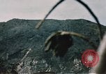 Standbild Schlacht von Iwo Jima Iwo Jima, 1945, aus Sekunde 38 historischem Filmmaterial Videoclip 65675051576
