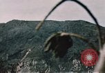 Standbild Schlacht von Iwo Jima Iwo Jima, 1945, aus Sekunde 39 historischem Filmmaterial Videoclip 65675051576