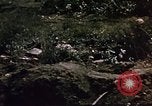 Standbild Schlacht von Iwo Jima Iwo Jima, 1945, aus Sekunde 58 historischem Filmmaterial Videoclip 65675051576