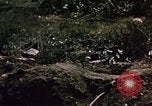 Standbild Schlacht von Iwo Jima Iwo Jima, 1945, aus Sekunde 59 historischem Filmmaterial Videoclip 65675051576