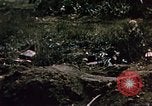 Standbild Schlacht von Iwo Jima Iwo Jima, 1945, aus Sekunde 61 historischem Filmmaterial Videoclip 65675051576