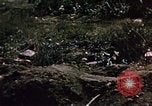 Standbild Schlacht von Iwo Jima Iwo Jima, 1945, aus Sekunde 62 historischem Filmmaterial Videoclip 65675051576