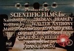Standbild amerikanischen Frauen arbeiten in Zweiten Weltkrieg United States USA, 1943, aus Sekunde 21 historischem Filmmaterial Videoclip 65675051577