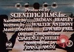 Standbild amerikanischen Frauen arbeiten in Zweiten Weltkrieg United States USA, 1943, aus Sekunde 22 historischem Filmmaterial Videoclip 65675051577